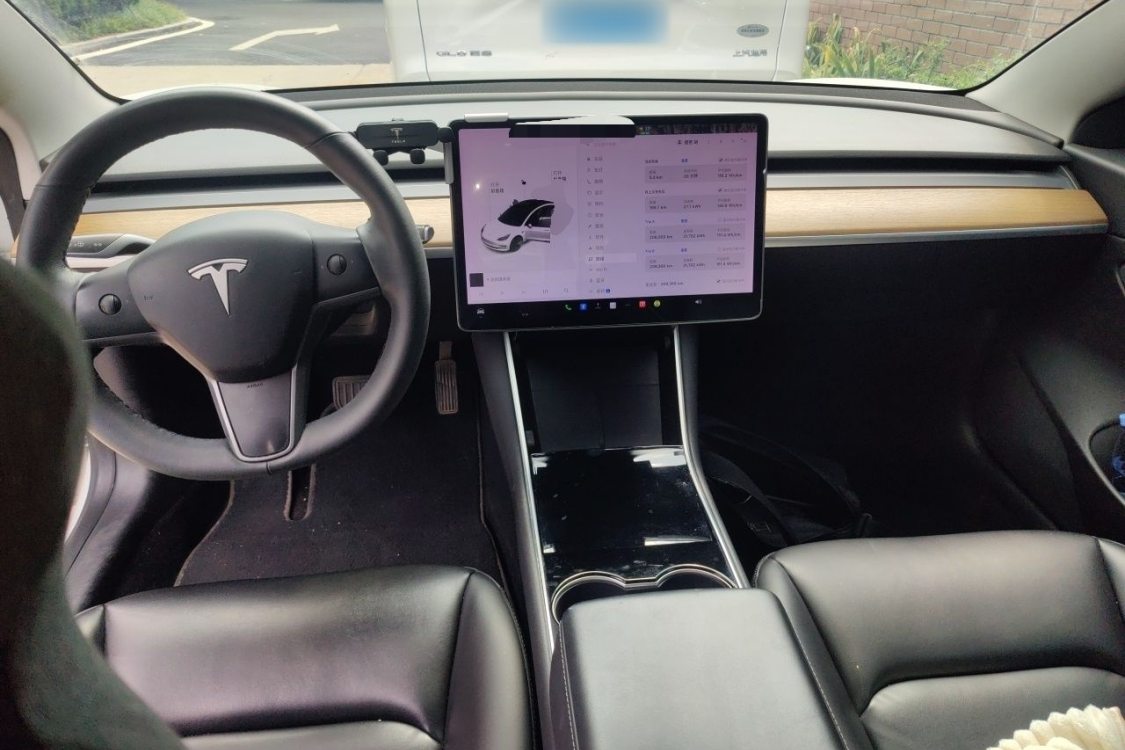 Tesla Model 3 2020 صورة سيارة #21