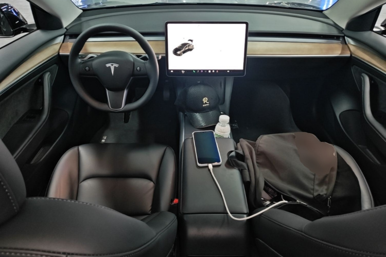 Tesla Model 3 2021 car image #10