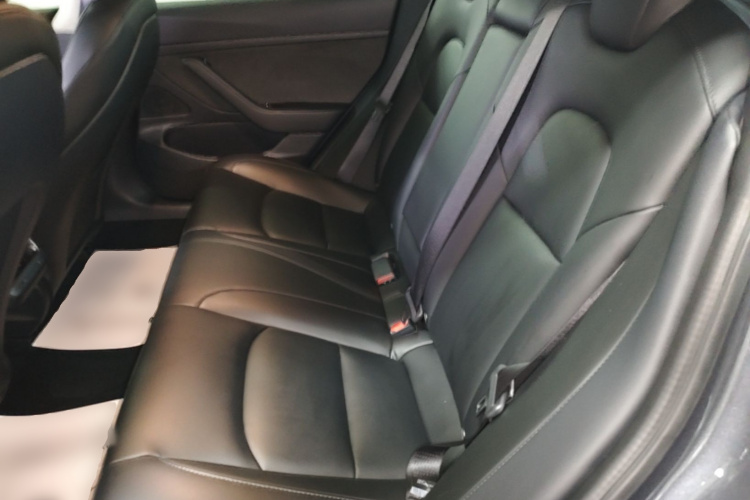 Tesla Model 3 2020 #13 Tesla Model 3 2020 car image #13