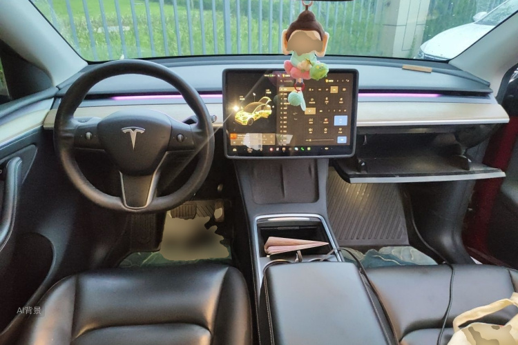 Tesla Model Y 2021 car image #11