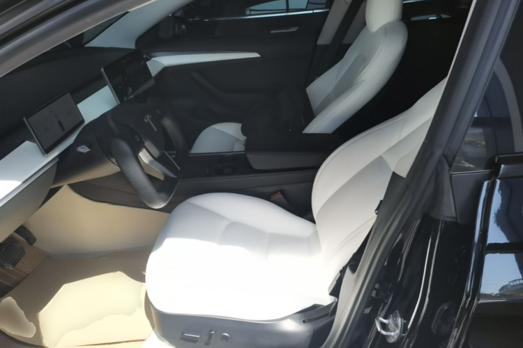 Tesla Model 3 2021 #15 Tesla Model 3 2021 car image #15