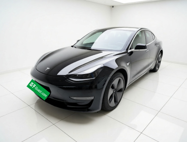Tesla Model 3 2020 immagine di auto 