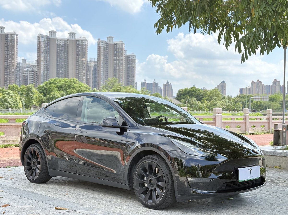Tesla Model Y 2021 #3 Tesla Model Y 2021 car image #3