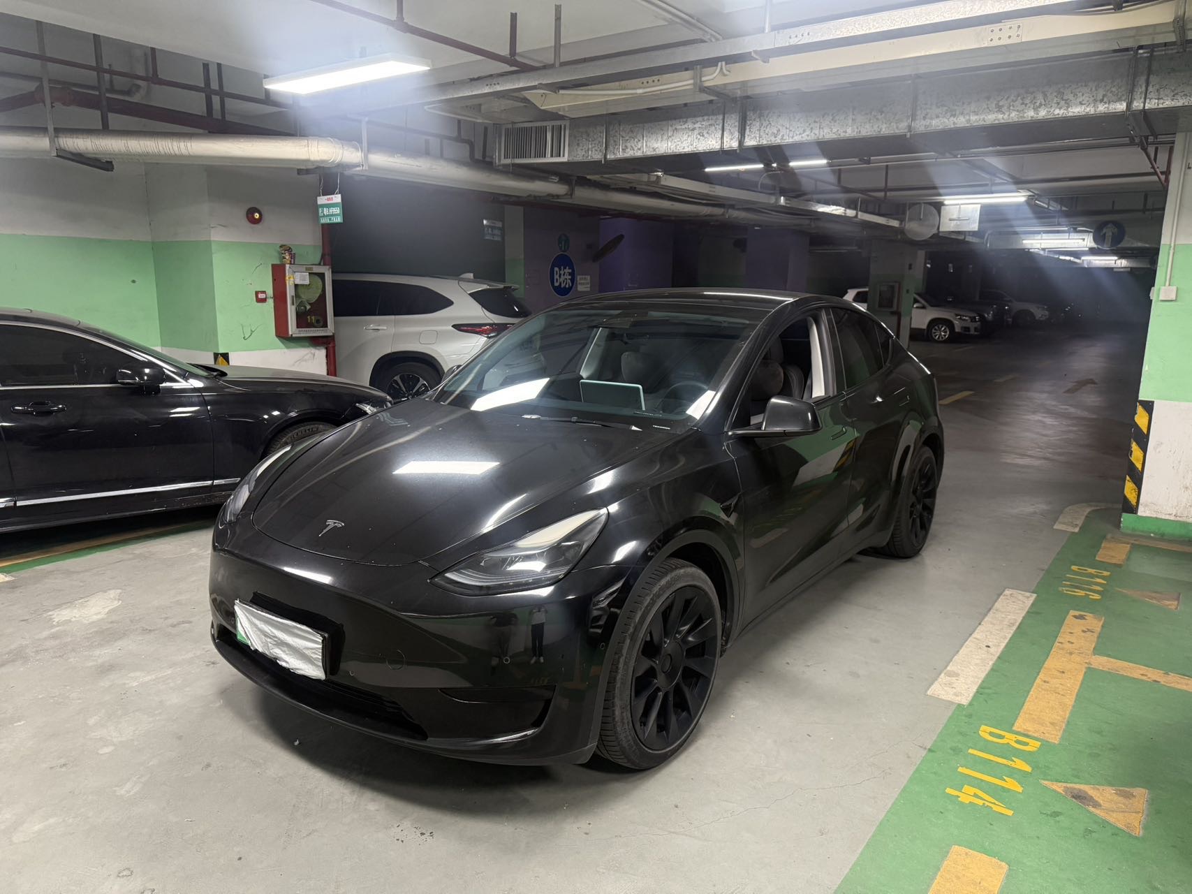 Tesla Model Y 2023 car image 