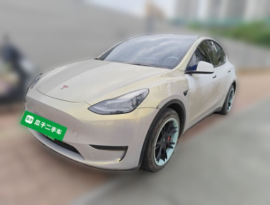 Tesla Model Y 2021 car image 