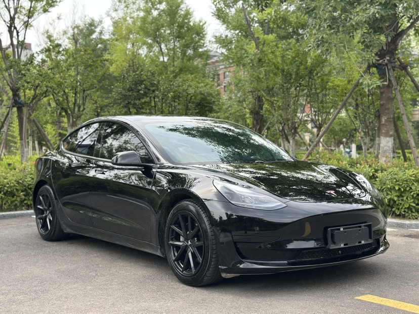 Tesla Model 3 2021 car image #3