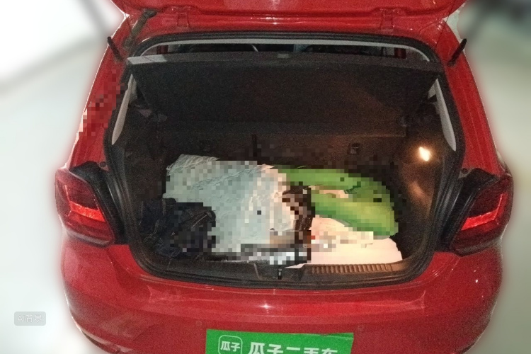 Volkswagen Polo 2017 car image #21