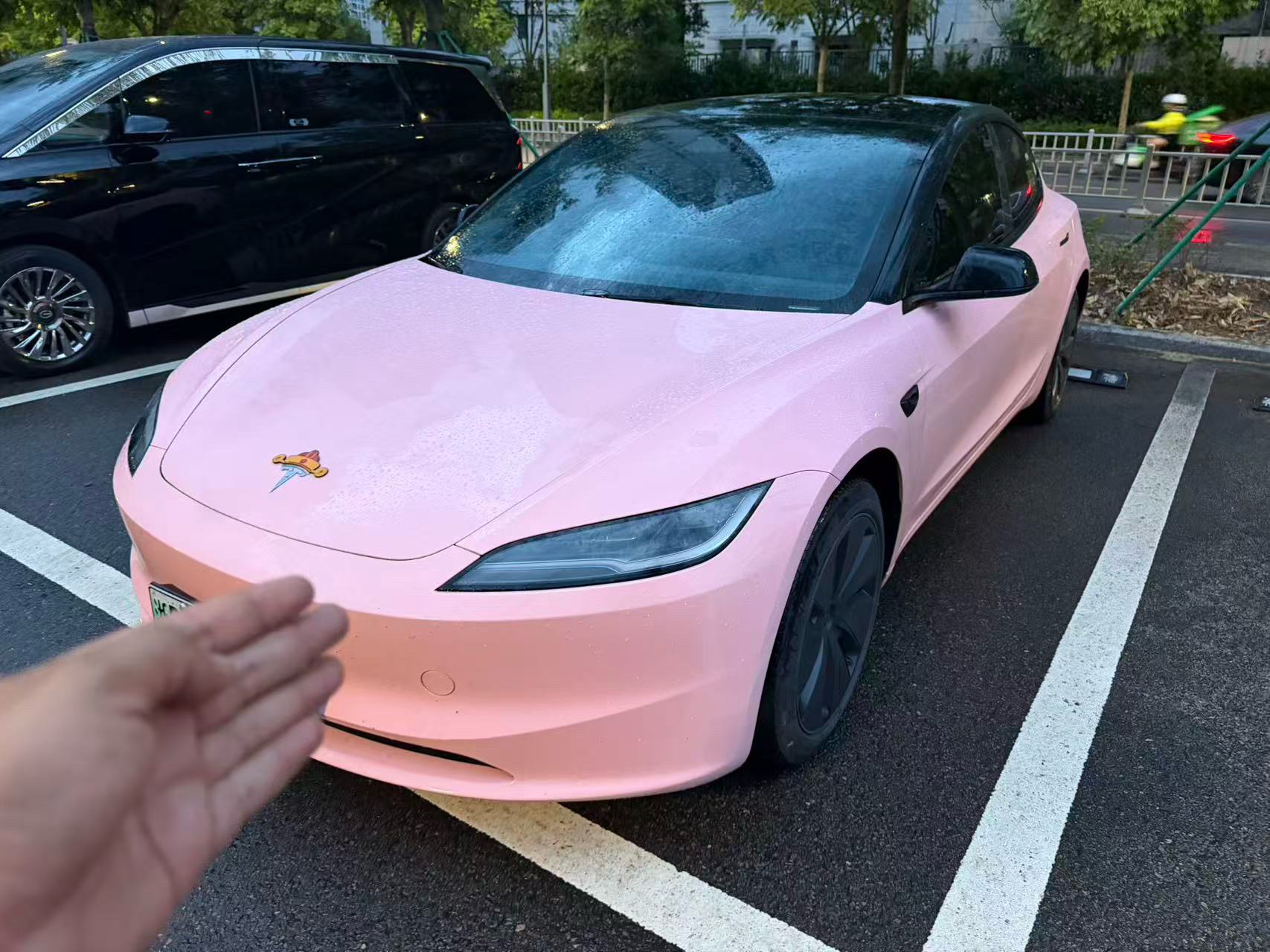 Tesla Model 3 2024 Tesla Model 3 2024 car image