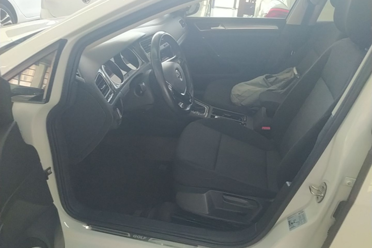 Volkswagen Golf 2019 car image #15