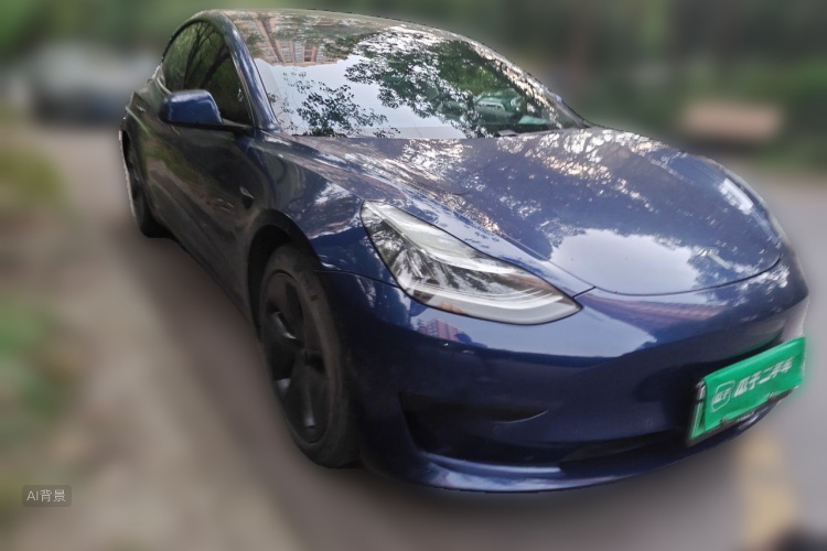 Tesla Model 3 2020 car image #4