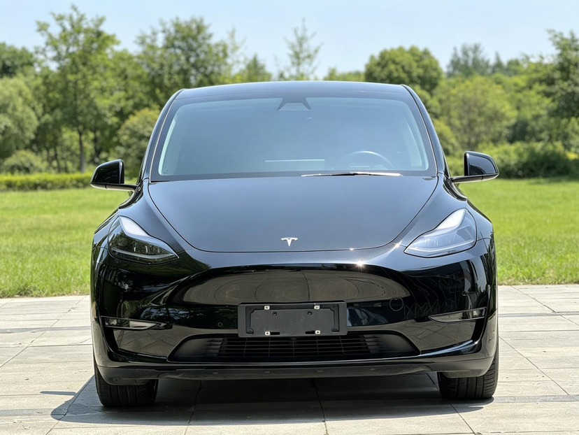 Tesla Model Y 2021 #2 Tesla Model Y 2021 car image #2