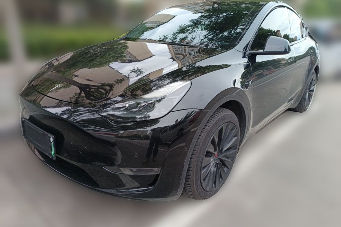 Tesla Model Y 2023 Tesla Model Y 2023 car image