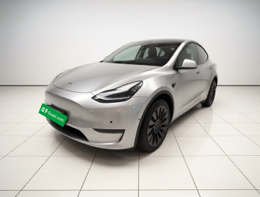 Tesla Model Y 2021 immagine di auto 
