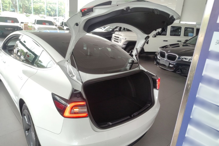 Tesla Model 3 2020 car image #19