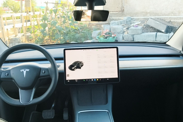 Tesla Model Y 2021 #10 Tesla Model Y 2021 car image #10