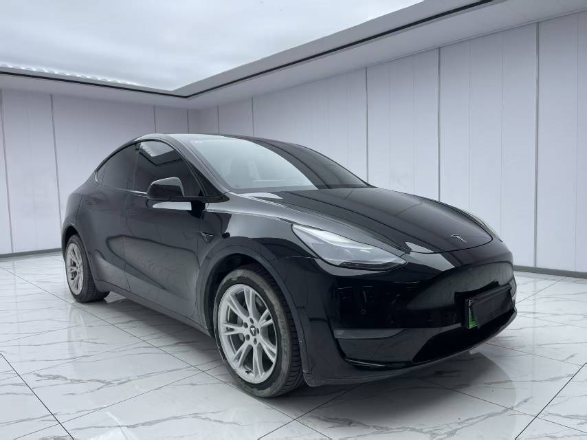 Tesla Model Y 2021 car image 