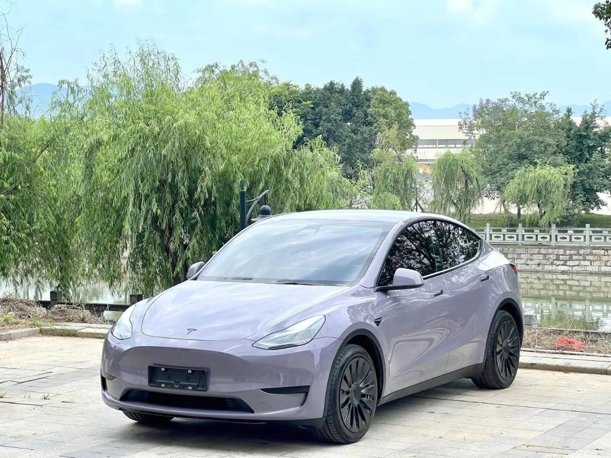 Tesla Model Y 2022 car image 