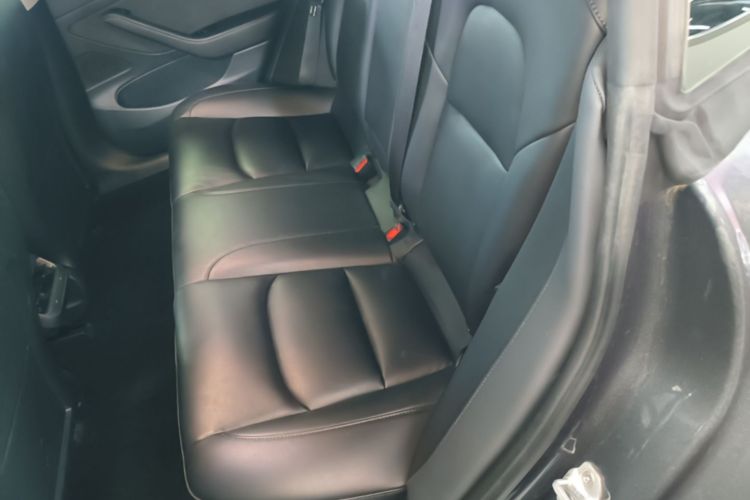 Tesla Model 3 2020 car image #17