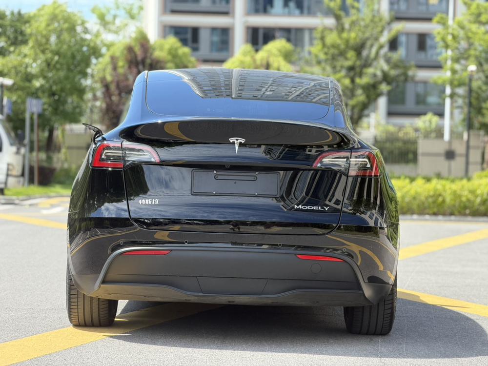 Tesla Model Y 2021 immagine di auto #5
