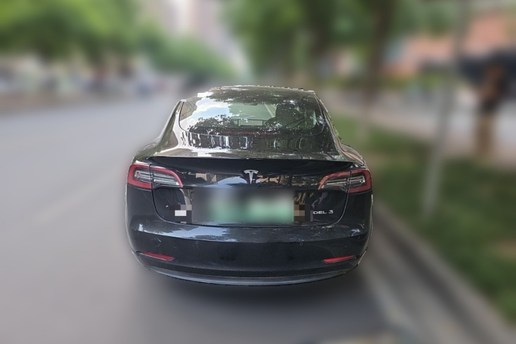 Tesla Model 3 2021 immagine di auto #4