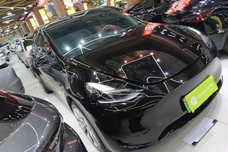 Tesla Model Y 2023 #4 Tesla Model Y 2023 car image #4