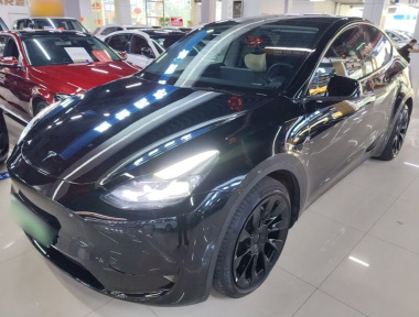 Tesla Model Y 2022 car image 