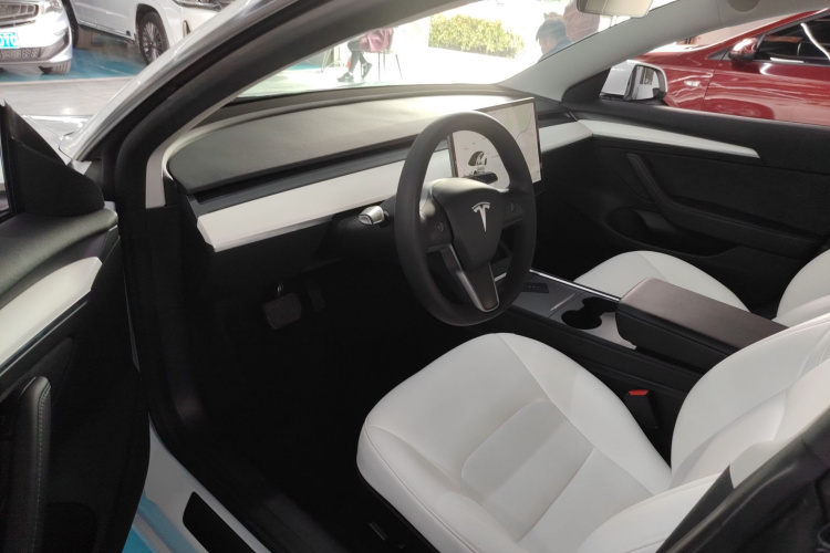 Tesla Model 3 2021 car image #15
