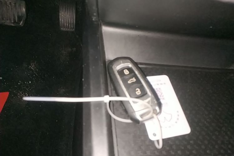 GEELY Emgrand New Energy 2021 car image #9