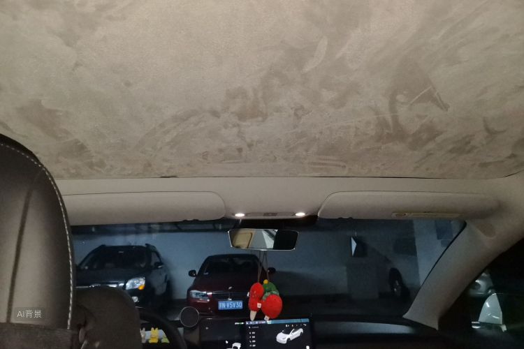 Tesla Model 3 2020 car image #20