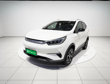 BYD Yuan Pro 2021 immagine di auto 