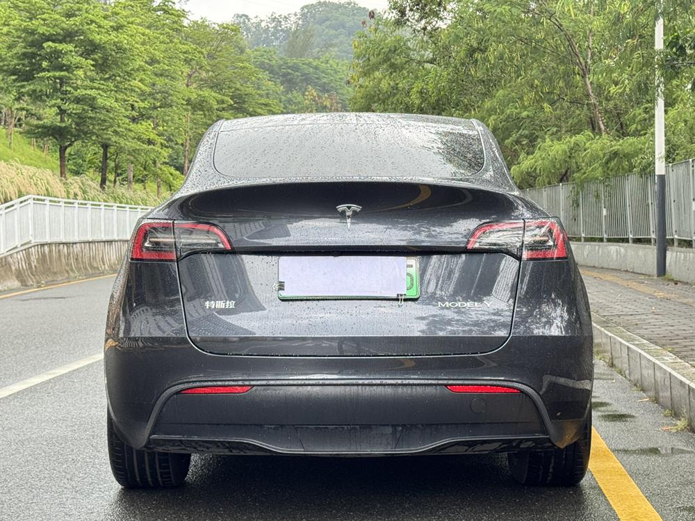 Tesla Model Y 2024 car image #6