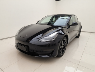Tesla Model 3 2022 car image 