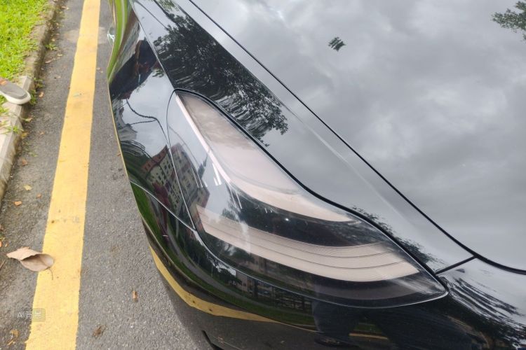 Tesla Model 3 2020 immagine di auto #8