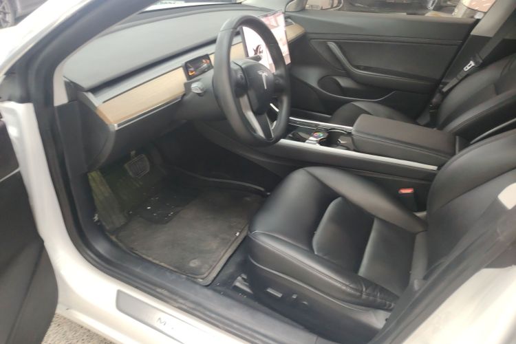 Tesla Model 3 2020 car image #16