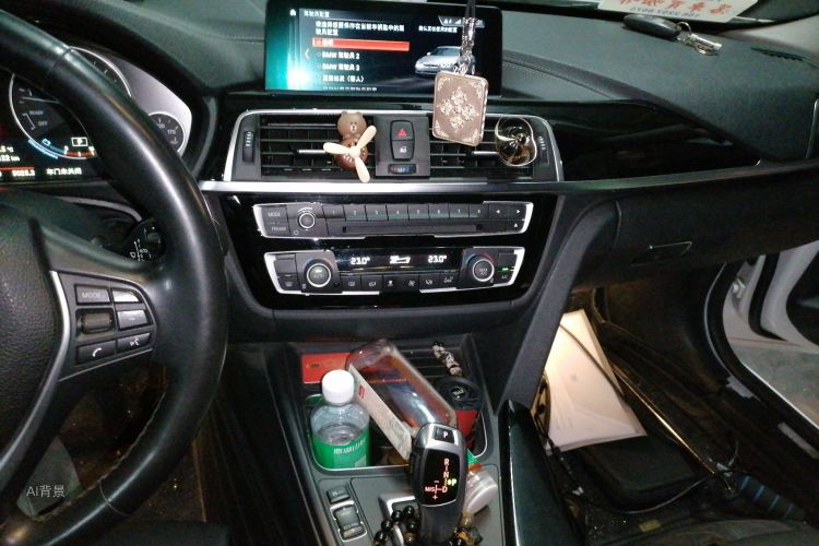 BMW 3 Series 2019 car image #15