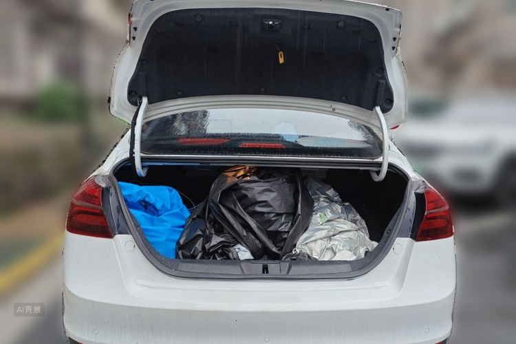 GEELY Emgrand 2019 immagine di auto #21