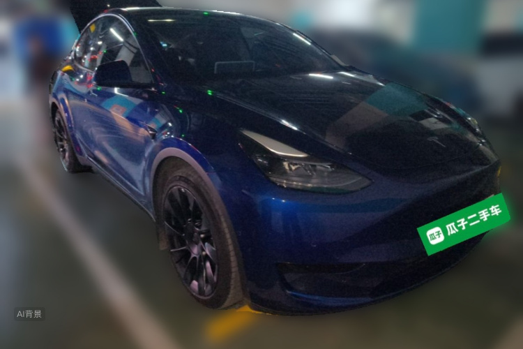 Tesla Model Y 2022 car image #4