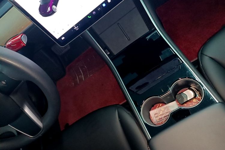 Tesla Model 3 2020 car image #14
