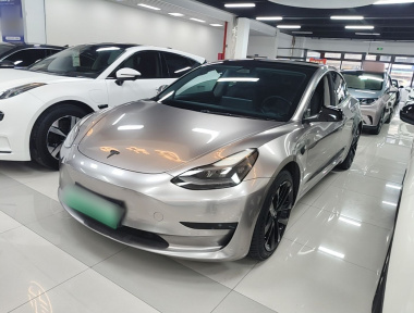Tesla Model 3 2021 Tesla Model 3 2021 car image