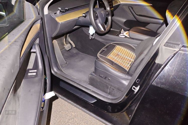 Tesla Model Y 2022 #18 Tesla Model Y 2022 car image #18