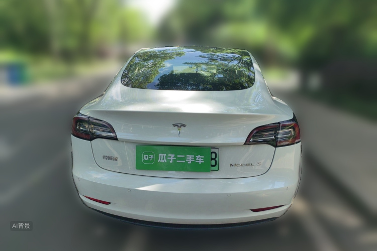 Tesla Model 3 2020 #6 Tesla Model 3 2020 car image #6