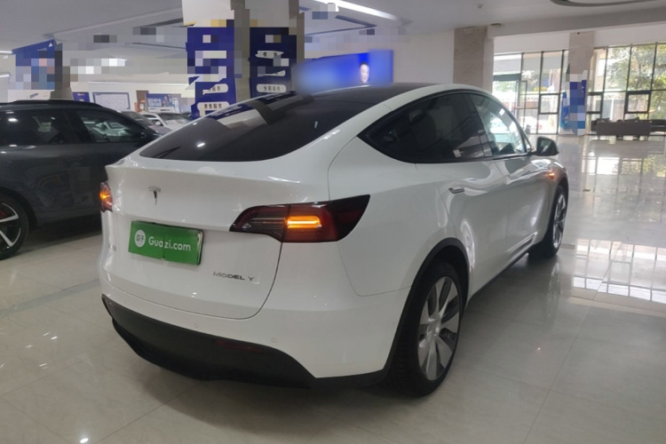 Tesla Model Y 2023 #7 Tesla Model Y 2023 car image #7