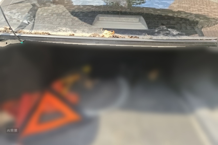 2016 #21 2016 car image #21