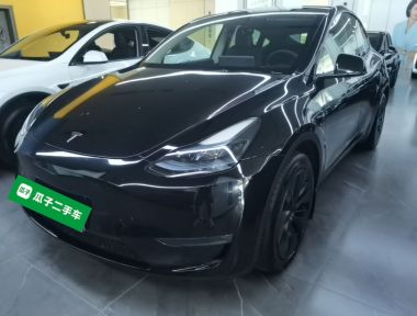 Tesla Model Y 2023 car image 