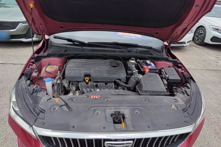 GEELY Emgrand 2021 immagine di auto #20