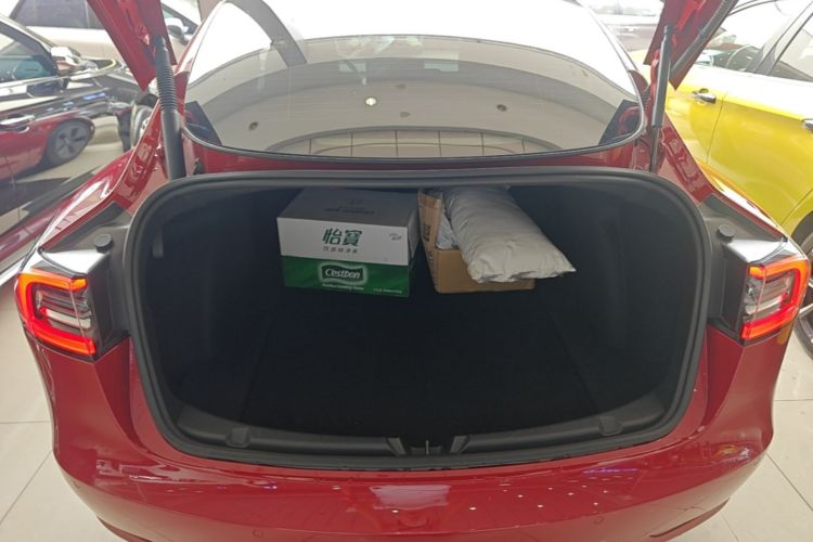 Tesla Model 3 2021 #22 Tesla Model 3 2021 car image #22