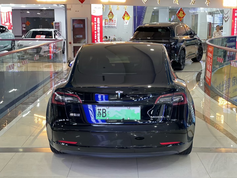 Tesla Model 3 2021 immagine di auto #2