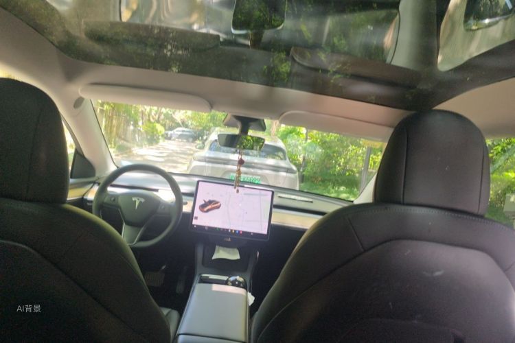 Tesla Model Y 2021 car image #20