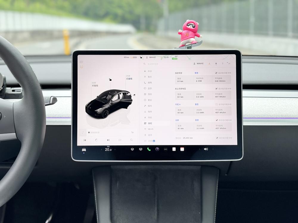 Tesla Model Y 2023 car image #10