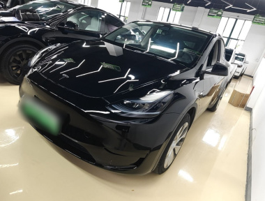 Tesla Model Y 2023 Tesla Model Y 2023 car image